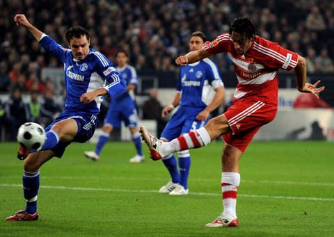 作了贡献 作了贡献